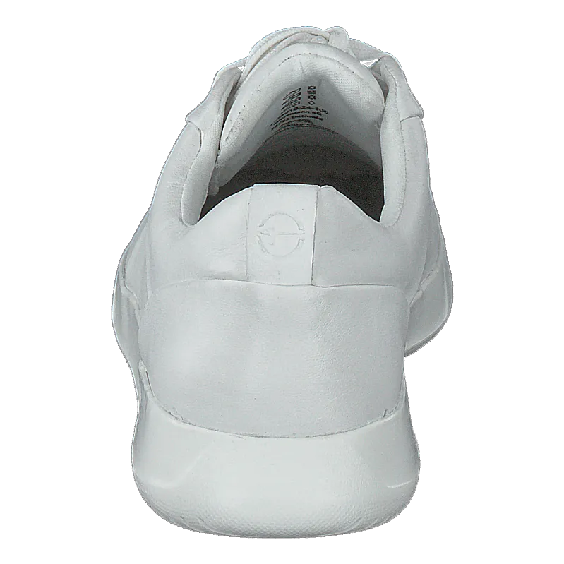 1-1-23613-24 White